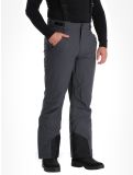 Miniatuur 4F, Trousers Fnk  M402 BA Skibroek Gevoerd heren Dark Grey Grijs 