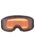 Miniatuur Alpina, Arris Q PA Goggles unisex Black Matt Zwart 