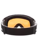 Miniatuur Alpina, Arris Q PA Goggles unisex Black Matt Zwart 