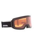 Miniatuur Alpina, Arris Q PA Goggles unisex Black Matt Zwart 