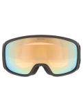 Miniatuur Alpina, Bivio Q PA Goggles unisex Black Gold Matt Goud, Zwart 