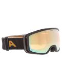 Miniatuur Alpina, Bivio Q PA Goggles unisex Black Gold Matt Goud, Zwart 