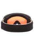 Miniatuur Alpina, Bivio Q PA Goggles unisex Black Gold Matt Goud, Zwart 