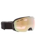 Miniatuur Alpina, Granby Qv PA Goggles unisex Black Matt Zwart 