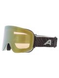 Miniatuur Alpina, Penken Q-Lite PA Goggles unisex Willow Green Matt Groen 