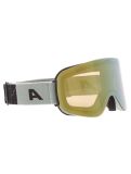 Miniatuur Alpina, Penken Q-Lite PA Goggles unisex Willow Green Matt Groen 