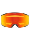 Miniatuur Alpina, Taos Q-Lite PA Goggles unisex Black Matt Zwart 