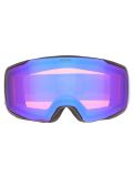 Miniatuur Alpina, Taos Q-Lite PA Goggles unisex Black Smoke Blue Matt Blauw 