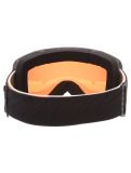 Miniatuur Alpina, Taos Q PA Goggles unisex Black Gold Matt Goud, Zwart 