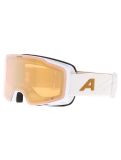 Miniatuur Alpina, Taos Q PA Goggles unisex White Gold Matt Goud, Wit 