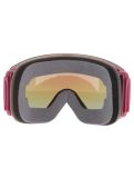 Miniatuur Aphex, Styx PA Goggles extra lens unisex Matt Strawberry Rood 