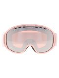 Miniatuur Cairn, Rainbow PA Goggles unisex Powder Pink Silver Roze, Zilver 