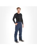 Miniatuur Dare2b, Achieve Ii Pant skibroek heren navy Blauw