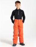 Miniatuur Dare2b, Outmove II skibroek kinderen Orange Rust oranje 