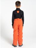 Miniatuur Dare2b, Outmove II skibroek kinderen Orange Rust oranje 