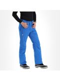 Miniatuur Descente, Stock Pant skibroek heren nautical Blauw