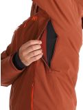 Miniatuur Helly Hansen, Alpha 4.0 ski-jas heren Iron Oxide bruin 