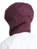 Miniatuur Icepeak, Cabot hardshell ski-jas dames Plum paars 