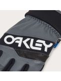 Miniatuur Oakley, Factory Winter Gloves 2.0 skihandschoenen unisex Uniform Grey/White grijs, wit 