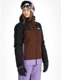 Miniatuur Picture, Seakrest ski-jas dames Black Chicory Coffee Paisley Purple bruin, paars, zwart 