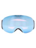 Miniatuur Sinner, Avon PA Goggles unisex Matt Dark Grey Grijs 