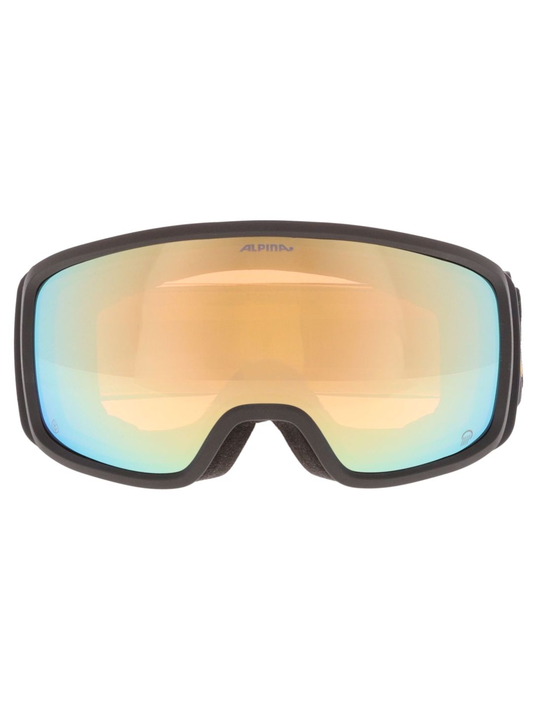 Alpina, Bivio Q PA Goggles unisex Black Gold Matt Goud, Zwart 