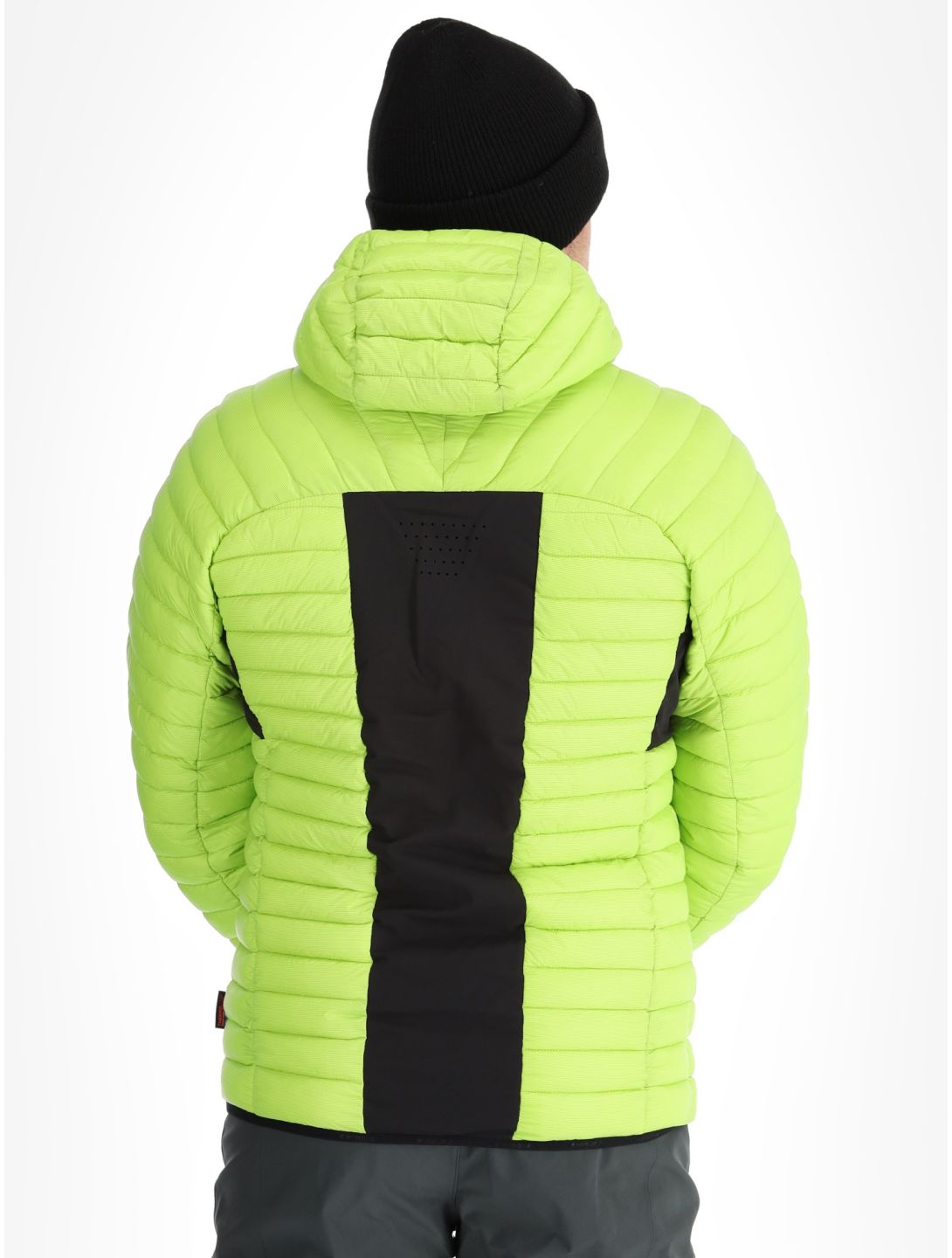 Icepeak, Dillon donsjas heren Light Green groen 