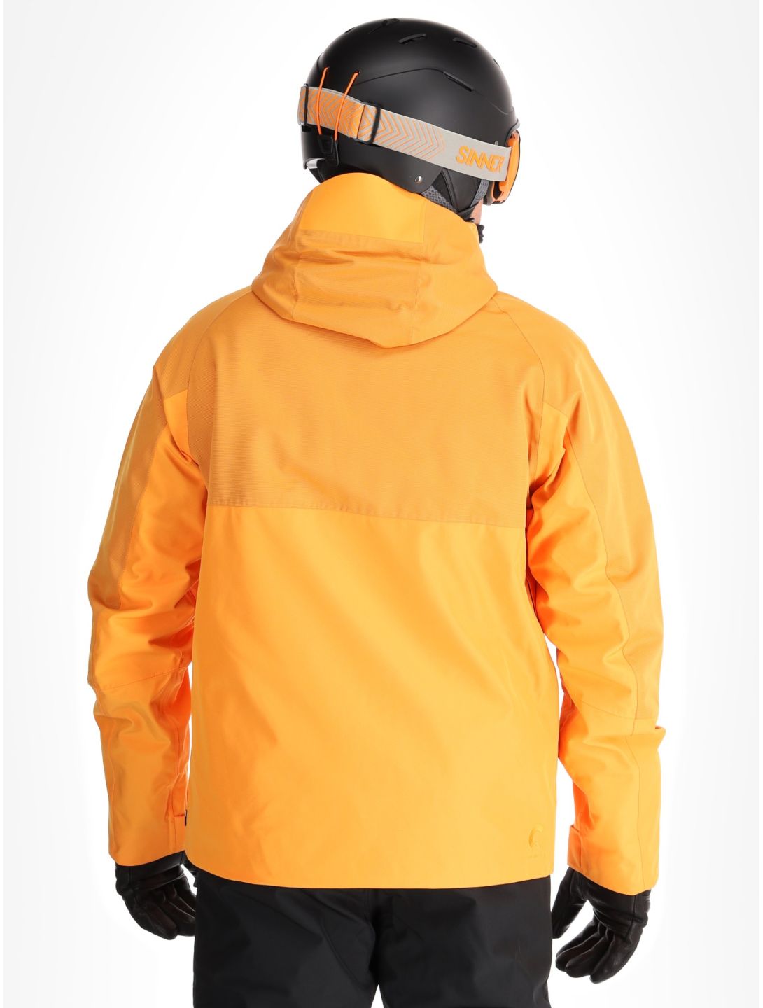 Picture, Goods ski-jas heren Carrot oranje 